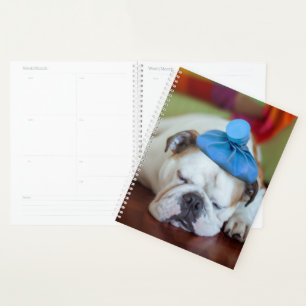 Getty Images   Sick Young Puppy Planner