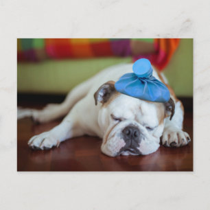 Getty Images Sick Young Puppy Postcard