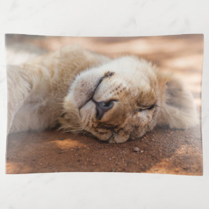 Getty Images   Sleeping Lion Cub Trinket Tray