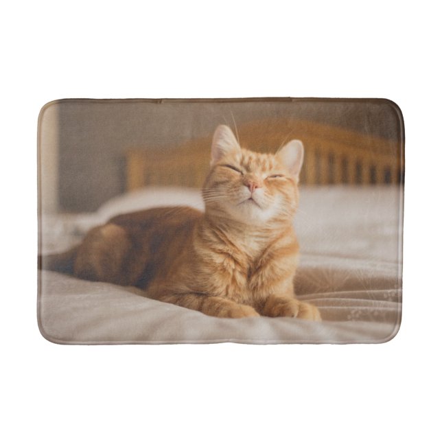 Getty Images | Sleepy Cat Bath Mat (Front)