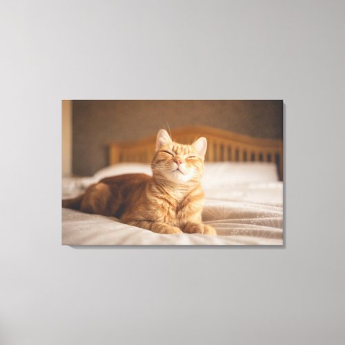 Getty Images  Sleepy Cat Canvas Print