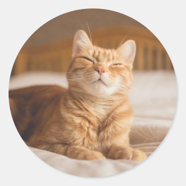 Getty Images | Sleepy Cat Classic Round Sticker (Front)