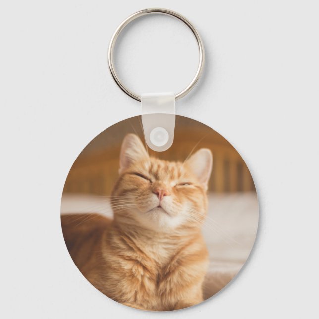 Getty Images | Sleepy Cat Keychain (Front)