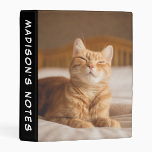 Getty Images   Sleepy Cat Mini Binder