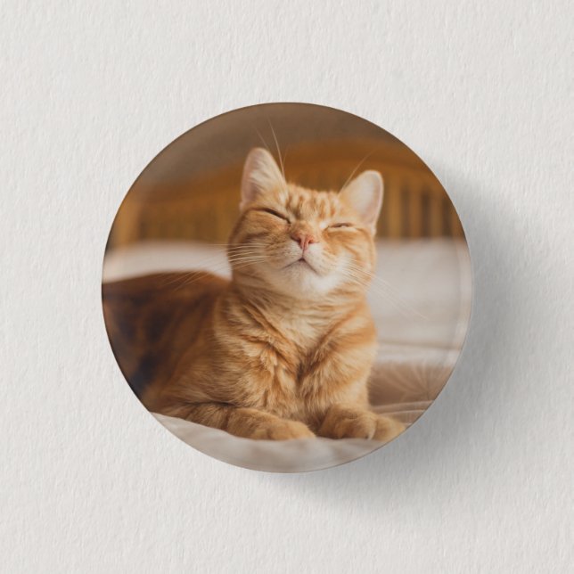Getty Images | Sleepy Cat Pinback Button (Front)