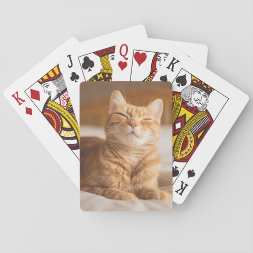 Getty Images  Sleepy Cat Playing Cards