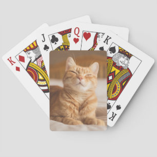 Getty Images   Sleepy Cat Poker Cards