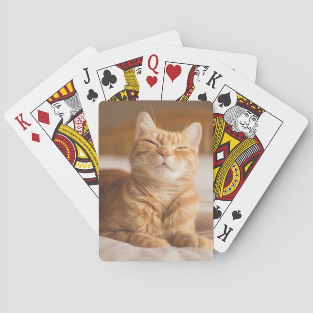 Getty Images | Sleepy Cat Poker Cards (Back)