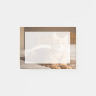 Getty Images Sleepy Cat Post-it Notes