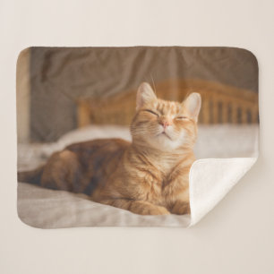 Getty Images Sleepy Cat Sherpa Blanket