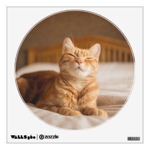 Getty Images   Sleepy Cat Wall Sticker