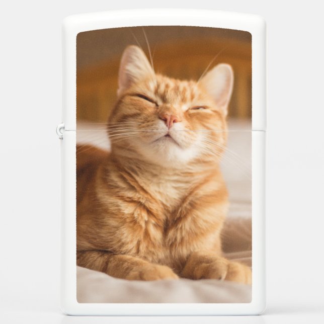Getty Images | Sleepy Cat Zippo Lighter (Front)