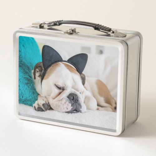 Getty Images  Sleepy Dog with Cat Headband Metal Lunch Box