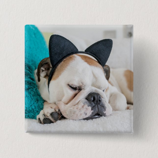 Getty Images | Sleepy Dog with Cat Headband Pinback Button (Front)