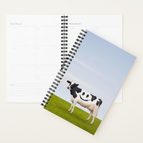 Getty Images  Smiley Face Cow Planner