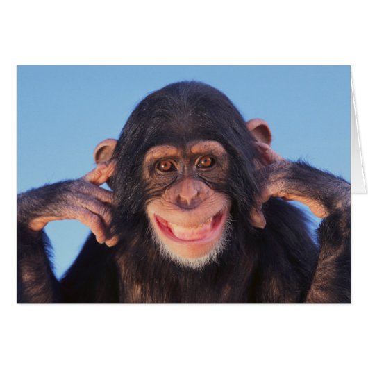 Getty Images | Smiling Chimpanzee Cards (Front Horizontal)