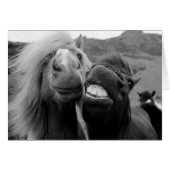 Getty Images | Smiling Horses (Front Horizontal)