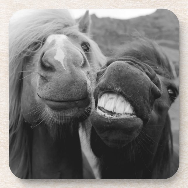 Getty Images | Smiling Horses Beverage Coaster (Front)