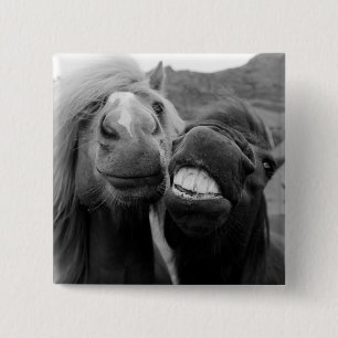 Getty Images Smiling Horses Button