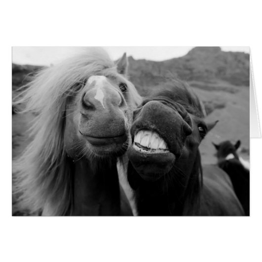Getty Images | Smiling Horses Cards (Front Horizontal)