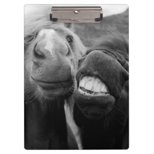 Getty Images Smiling Horses Clipboard
