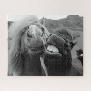 Getty Images Smiling Horses Jigsaw Puzzle