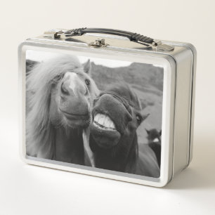 Getty Images   Smiling Horses Metal Lunch Box