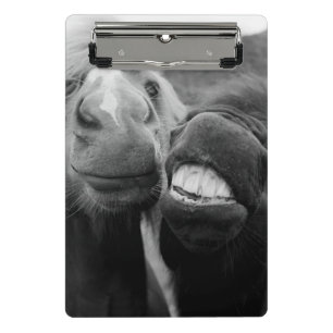 Getty Images   Smiling Horses Mini Clipboard