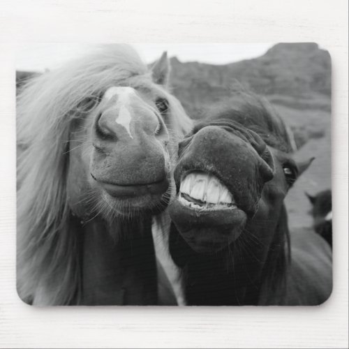 Getty Images  Smiling Horses Mouse Pad