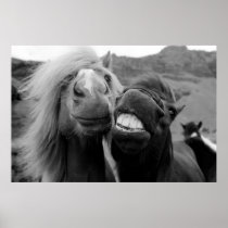 Getty Images | Smiling Horses Poster