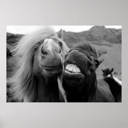 Getty Images  Smiling Horses Poster