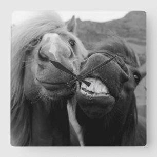 Getty Images Smiling Horses Square Wall Clock