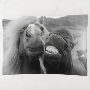 Getty Images Smiling Horses Trinket Tray