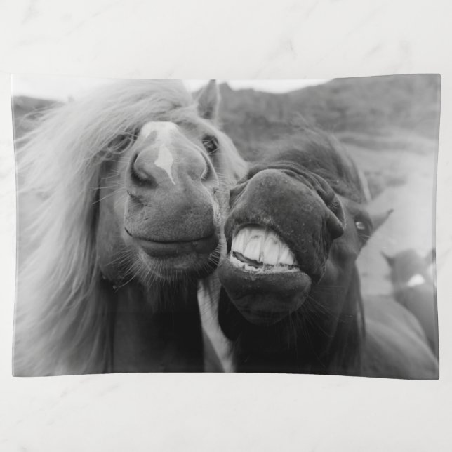 Getty Images | Smiling Horses Trinket Tray (Front)