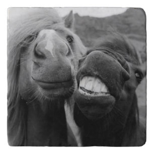 Getty Images Smiling Horses Trivet