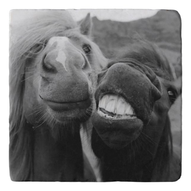 Getty Images | Smiling Horses Trivet (Front)