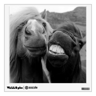 Getty Images Smiling Horses Wall Decal