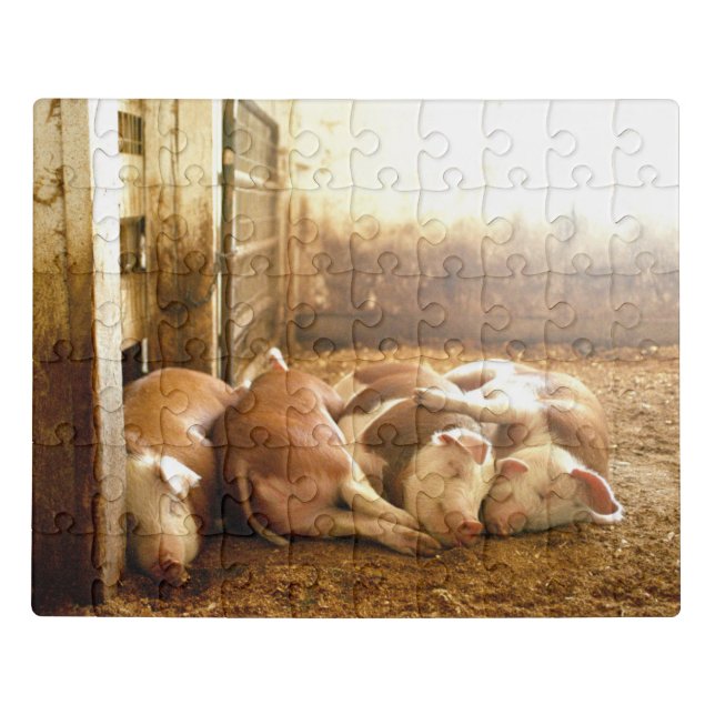 Getty Images | Snuggling Pigs Jigsaw Puzzle (Puzzle Horizontal)