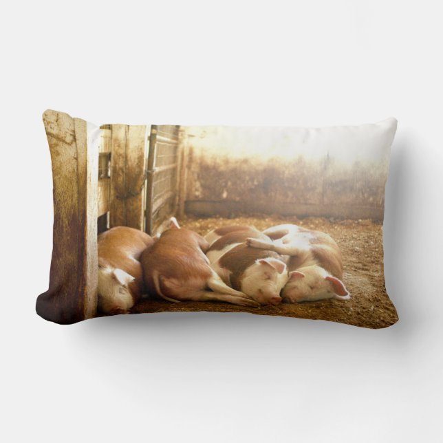 Getty Images | Snuggling Pigs Lumbar Pillow (Front)