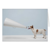 Getty Images | Speaking Dog (Front Horizontal)