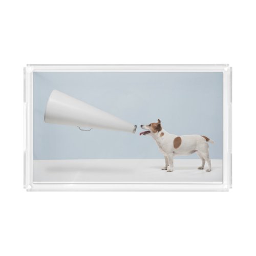 Getty Images  Speaking Dog Acrylic Tray