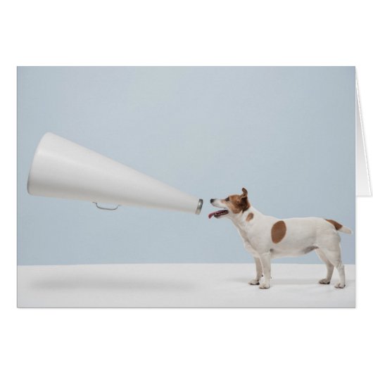 Getty Images | Speaking Dog Cards (Front Horizontal)