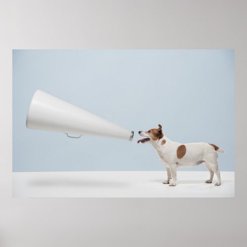 Getty Images  Speaking Dog Poster