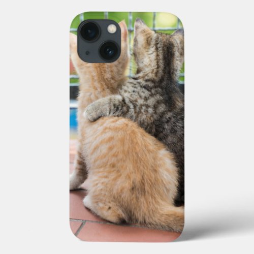Getty Images  Two Kittens on a Balcony iPhone 13 Case