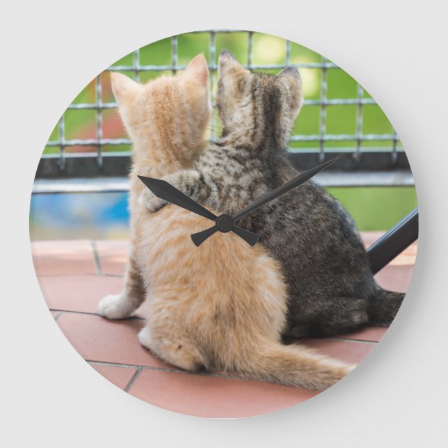 Getty Images | Two Kittens on a Balcony Large Clock (Front)