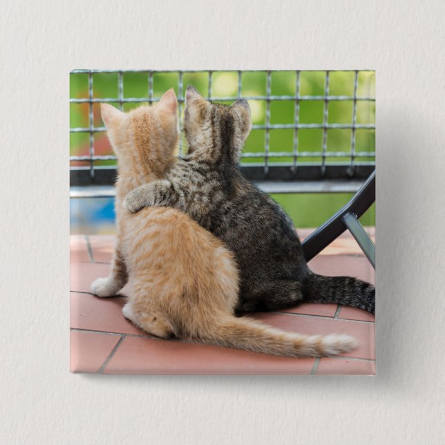 Getty Images | Two Kittens on a Balcony Pinback Button (Front)