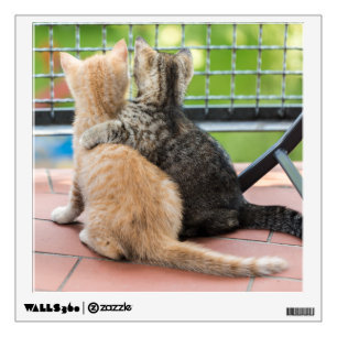 Getty Images   Two Kittens on a Balcony Wall Sticker