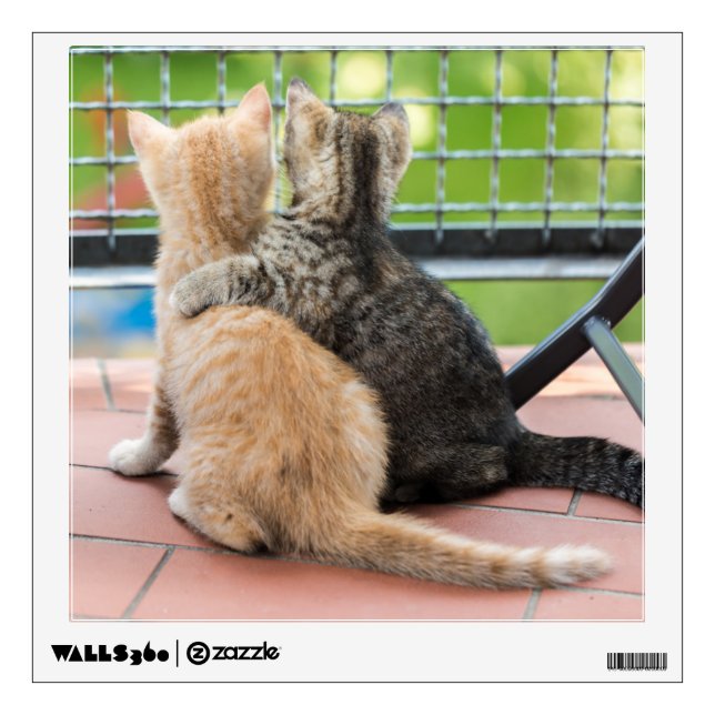 Getty Images | Two Kittens on a Balcony Wall Sticker (Front)