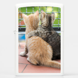 Getty Images   Two Kittens on a Balcony Zippo Lighter