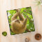 Getty Images | Upside Down Sloth